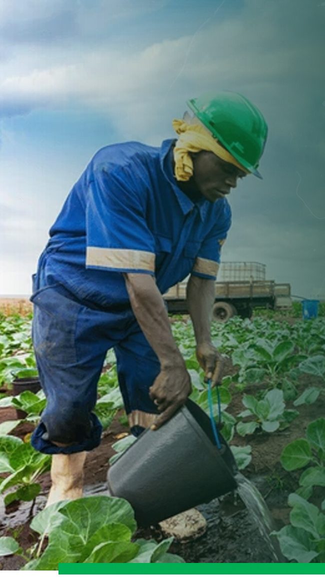 A farmer tending crops in a Burundian field, part of the community Ubuntu Ways supports